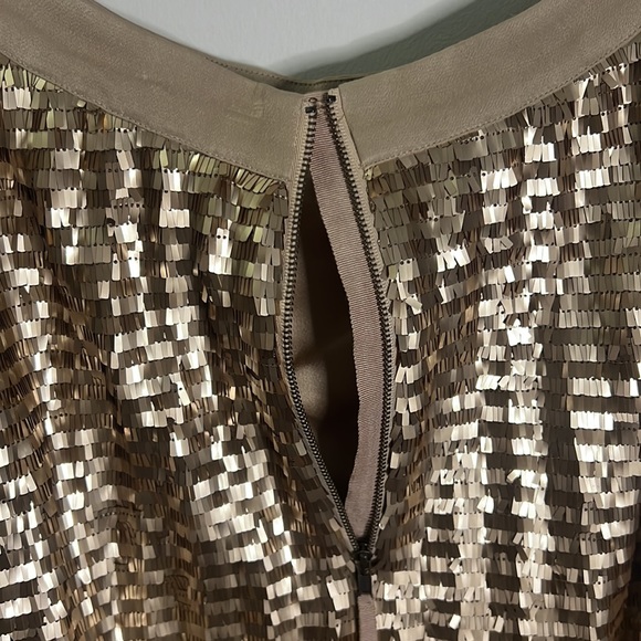Anthropologie Maeve sequin skirt size 6 with lining no pockets - Picture 6 of 11